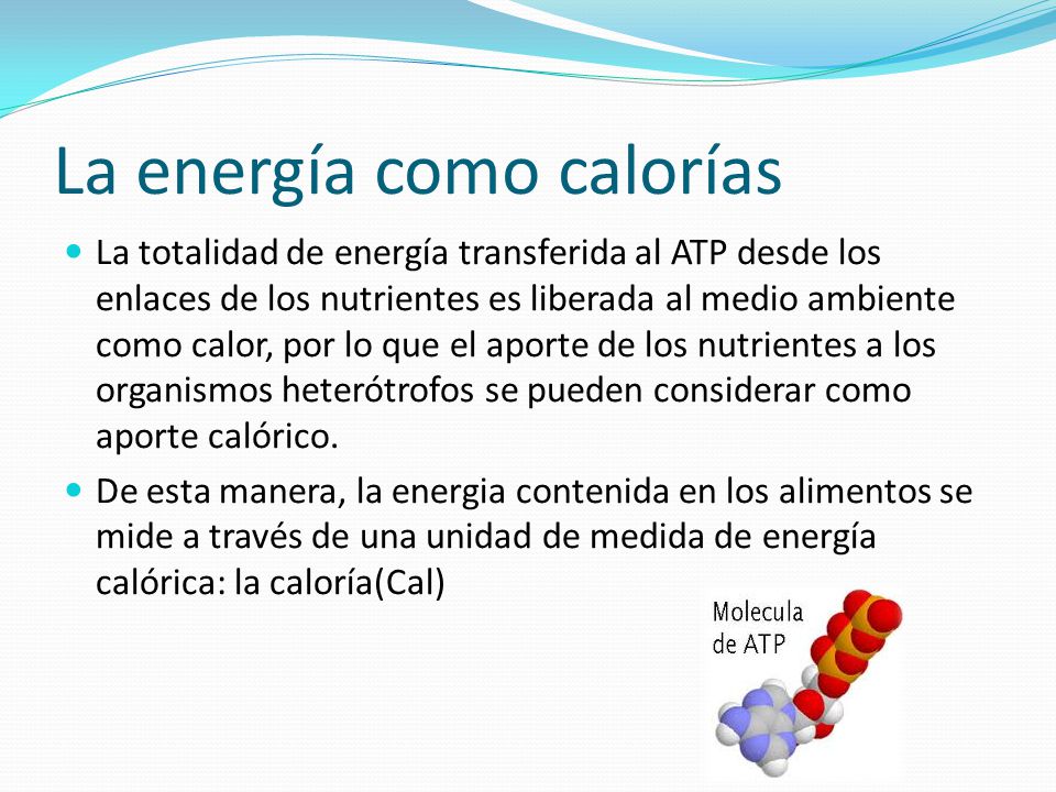 Como se miden las calorias de un alimento